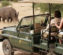 Rhino Game drive